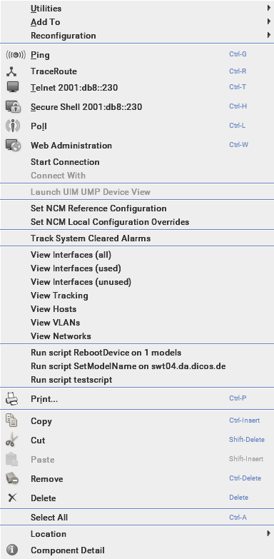 Context menu showing script entries